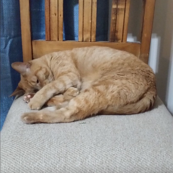 Meet your Posher, Kaitlie - Picture 7 of 7